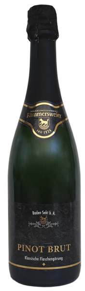 2020 Pinot Sekt Brut traditionelle Flaschengärung